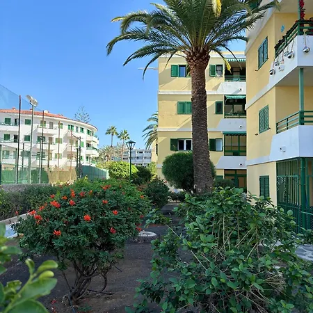 Olas 214 Apartment *